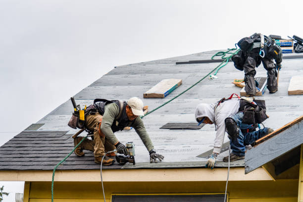 Professional Roofing technician working in Centreville, IL